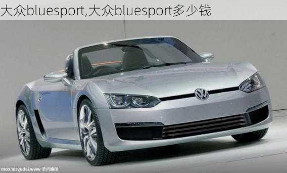 大众bluesport,大众bluesport多少钱