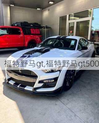 福特野马gt,福特野马gt500