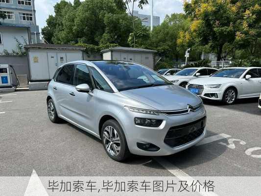 毕加索车,毕加索车图片及价格