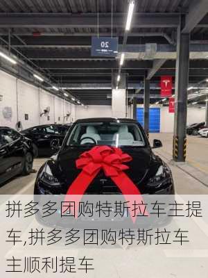 拼多多团购特斯拉车主提车,拼多多团购特斯拉车主顺利提车