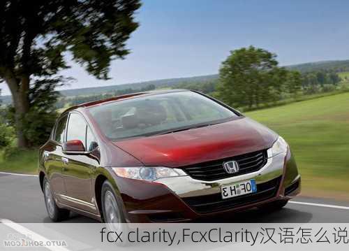 fcx clarity,FcxClarity汉语怎么说