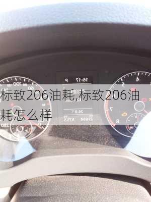 标致206油耗,标致206油耗怎么样