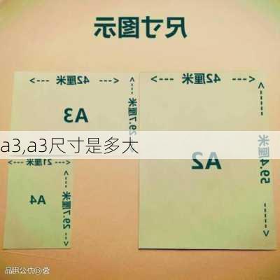 a3,a3尺寸是多大