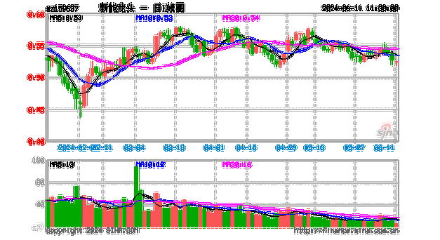 09年新能源汽车龙头股,09年新能源汽车龙头股票