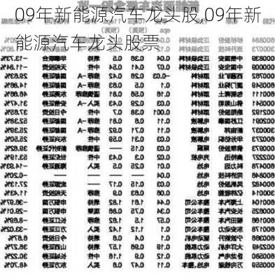 09年新能源汽车龙头股,09年新能源汽车龙头股票