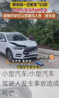 小型汽车,小型汽车驾驶人发生事故造成死亡