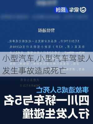 小型汽车,小型汽车驾驶人发生事故造成死亡