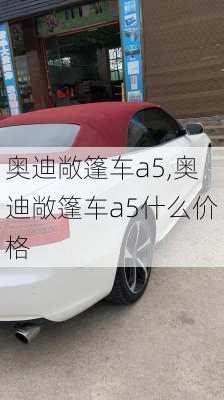 奥迪敞篷车a5,奥迪敞篷车a5什么价格