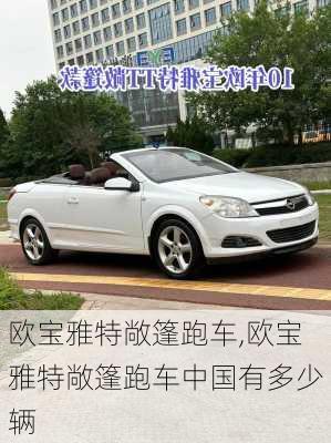 欧宝雅特敞篷跑车,欧宝雅特敞篷跑车中国有多少辆