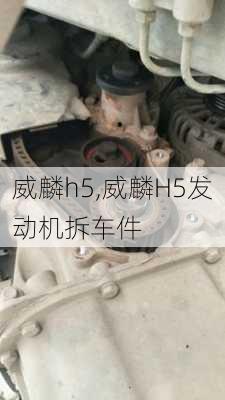 威麟h5,威麟H5发动机拆车件