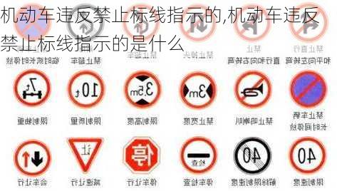 机动车违反禁止标线指示的,机动车违反禁止标线指示的是什么