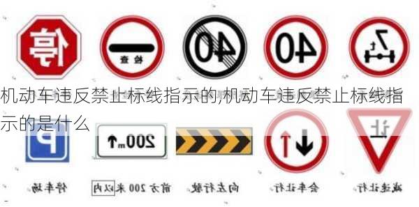 机动车违反禁止标线指示的,机动车违反禁止标线指示的是什么