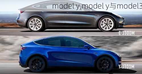 model y,model y与model3