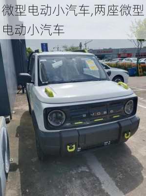 微型电动小汽车,两座微型电动小汽车