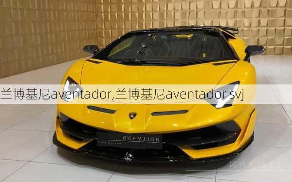 兰博基尼aventador,兰博基尼aventador svj