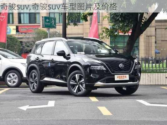 奇骏suv,奇骏suv车型图片及价格