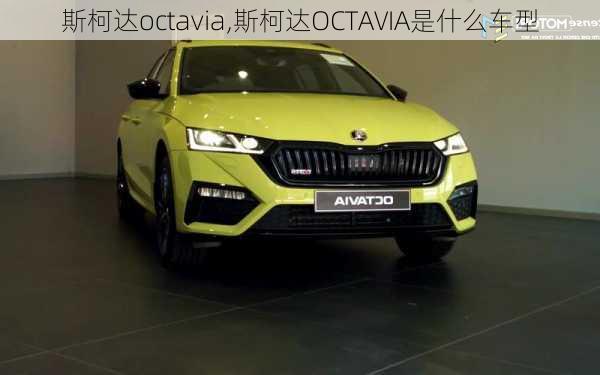 斯柯达octavia,斯柯达OCTAVIA是什么车型