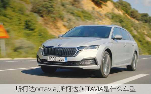 斯柯达octavia,斯柯达OCTAVIA是什么车型