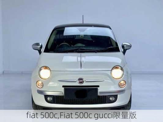 fiat 500c,Fiat 500c gucci限量版