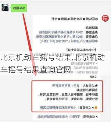 北京机动车摇号结果,北京机动车摇号结果查询官网