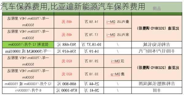 汽车保养费用,比亚迪新能源汽车保养费用