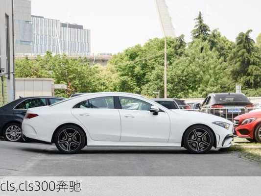 cls,cls300奔驰