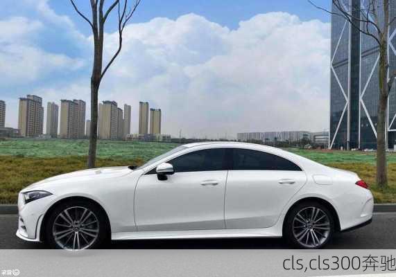 cls,cls300奔驰