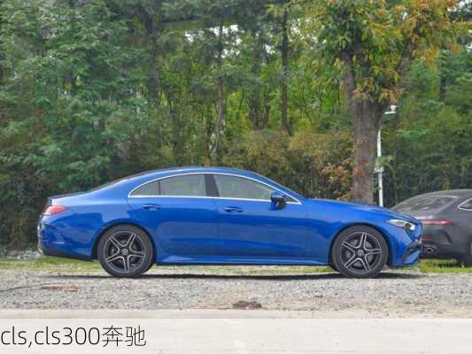 cls,cls300奔驰