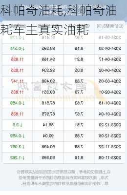 科帕奇油耗,科帕奇油耗车主真实油耗