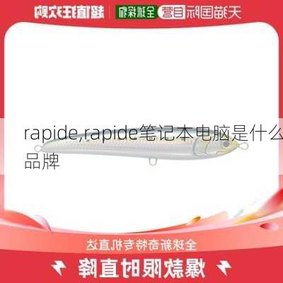 rapide,rapide笔记本电脑是什么品牌