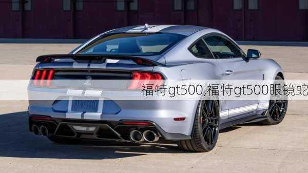 福特gt500,福特gt500眼镜蛇