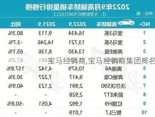 宝马经销商,宝马经销商集团排名