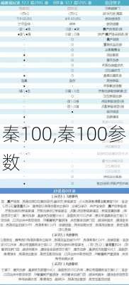 秦100,秦100参数