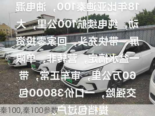 秦100,秦100参数