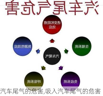 汽车尾气的危害,吸入汽车尾气的危害