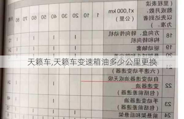 天籁车,天籁车变速箱油多少公里更换