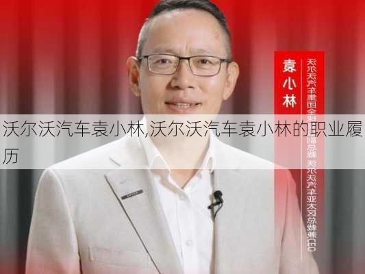 沃尔沃汽车袁小林,沃尔沃汽车袁小林的职业履历