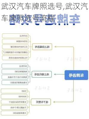 武汉汽车牌照选号,武汉汽车牌照选号流程