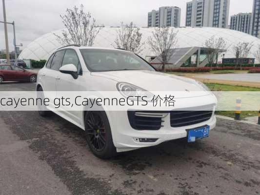 cayenne gts,CayenneGTS 价格