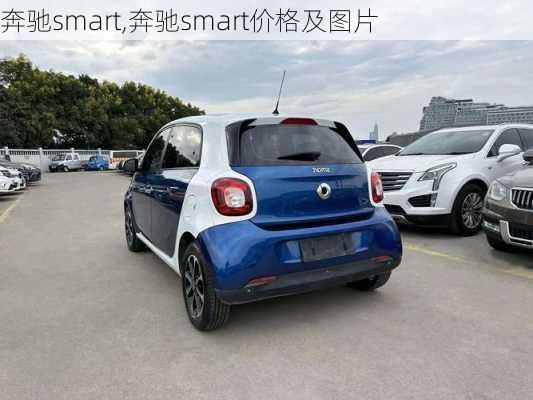 奔驰smart,奔驰smart价格及图片