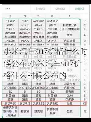 小米汽车su7价格什么时候公布,小米汽车su7价格什么时候公布的