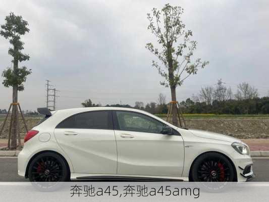 奔驰a45,奔驰a45amg