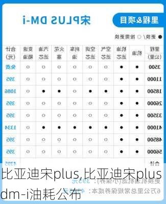 比亚迪宋plus,比亚迪宋plusdm-i油耗公布