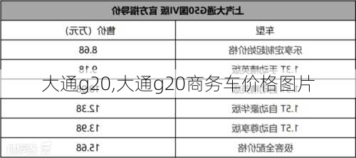 大通g20,大通g20商务车价格图片