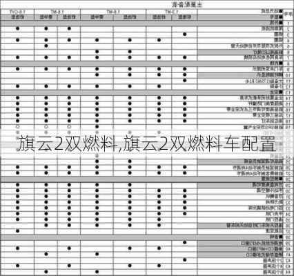 旗云2双燃料,旗云2双燃料车配置