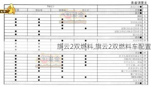 旗云2双燃料,旗云2双燃料车配置