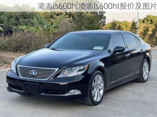 凌志ls600h,凌志ls600hl报价及图片