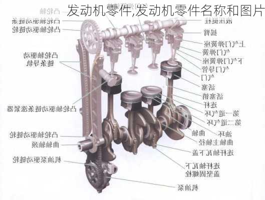 发动机零件,发动机零件名称和图片