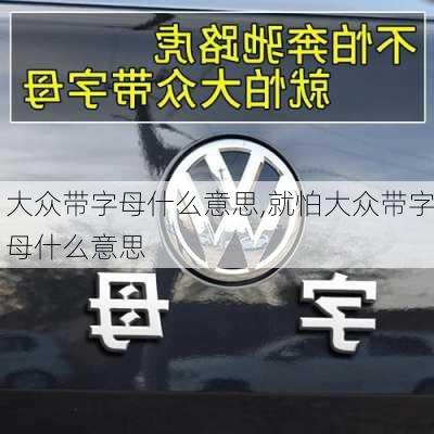 大众带字母什么意思,就怕大众带字母什么意思