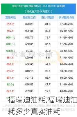 福瑞迪油耗,福瑞迪油耗多少真实油耗